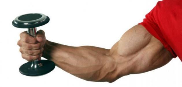 تطوير عضلات اصطناعية أقوى من البشرية 17 مرة