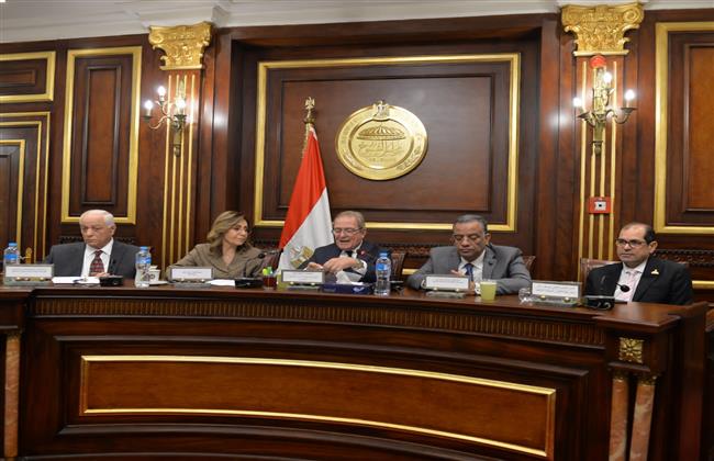«أمام لجنة حقوق الإنسان بمجلس الشيوخ».. وزيرة الثقافة تستعرض جهود الوزارة لدعم حقوق الإنسان