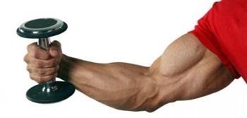   تطوير عضلات اصطناعية أقوى من البشرية 17 مرة