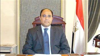   أحمد أبوزيد: رؤية الرئيس السيسي تدور حول ترسيخ مبدأ عدم التدخل في شؤون الدول الأخرى