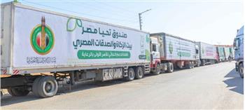 صندوق تحيا مصر وبيت الزكاة والصدقات ينظمان قافلة حماية اجتماعية بالأقصر