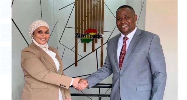 السفير البدرى ينظم اجتماعا افتراضيا بين رجال الأعمال في مصر وزيمبابوي 