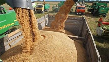   تراجع أسعار القمح والذرة عالميا مع استمرار ارتفاع الفول الصويا