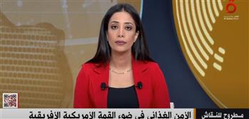   خبير لـ«القاهرة الإخبارية»: الدور المصري لم يغب مطلقًا عن القارة الإفريقية