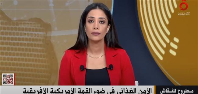 خبير لـ«القاهرة الإخبارية»: الدور المصري لم يغب مطلقًا عن القارة الإفريقية