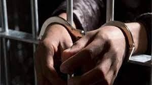 حبس 32 متهما لحيازتهم مواد مخدرة وأسلحة نارية بالقليوبية