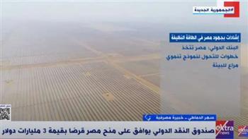 خبيرة مصرفية:  البنك المركزي يُعالج التشوهات الخاصة بالفوائد