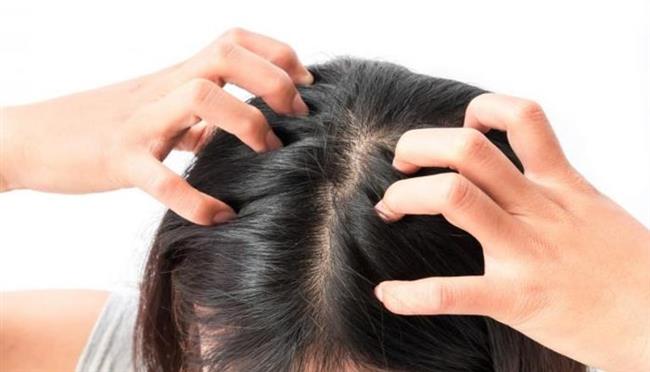 الهرش وحكة فروة الرأس مؤشر للإصابة بمرض جلدى 