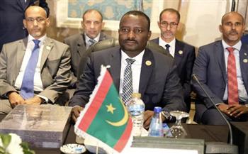   وزير الثقافة الموريتاني: نمضي في خدمة اللغة العربية