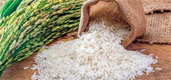   وزير التموين الأسبق: ننتج 5 مليون طن أرز سنويا ولدينا فائض مليون طن