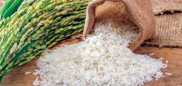 وزير التموين الأسبق: ننتج 5 مليون طن أرز سنويا ولدينا فائض مليون طن