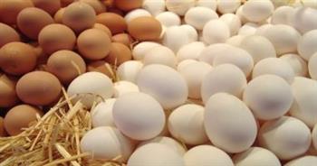   الزراعة تطرح كميات من بيض المائدة بأسعار مخفضة عبر 273 منفذا ثابتا ومتحركا