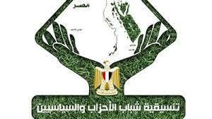 تنسيقية شباب الأحزاب تعقد مؤتمرا بأسوان للحديث عن الحوار الوطني