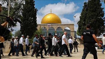   180 مستوطنًا إسرائيليًا اقتحموا المسجد الأقصى في ثالث أيام عيد «الأنوار» اليهودي