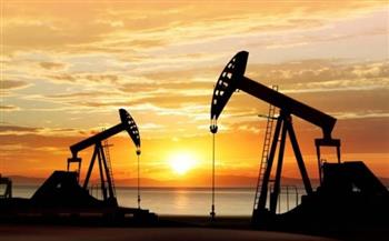   استقرار أسعار النفط