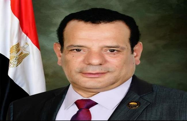 النائب نافع عبد الهادى لوزير الزراعة: غابت الرؤية ونستورد القمح والأرز والبقوليات والبذور