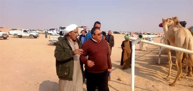تنظيم نهائي سباق الهجن بطور سيناء بمشاركة 5 محافظات