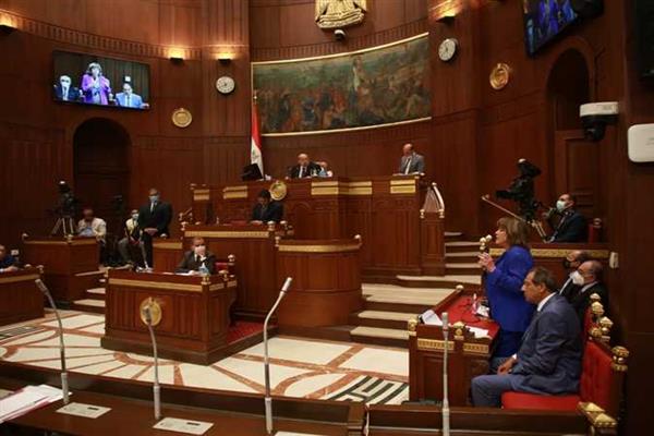 «الشيوخ» يوافق نهائيا على مشروع قانون " إنشاء صندوق مصر الرقمية"