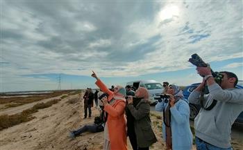  «أيمن حماده» يكشف دور مهرجان مراقبة وتصوير الطيور المهاجرة في دعم السياحة