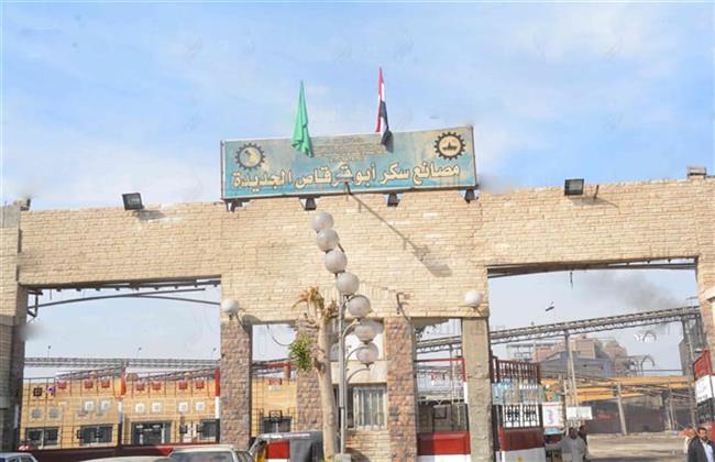 بدء موسم توريد محصول قصب السكر في المنيا 5 يناير