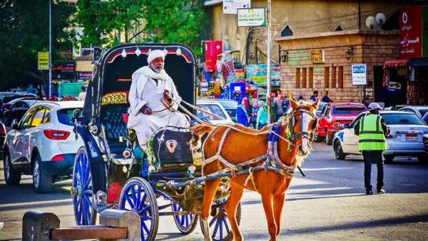 محافظ أسوان: مخطط لإحلال وتجديد 100 عربة حنطور للارتقاء بالهوية البصرية لمدينة أسوان