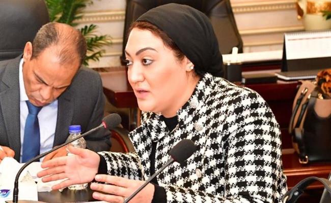 الجمال: تصريحات الرئيس السيسى تؤكد أن الدولة لن تتخلى عن مواطنيها