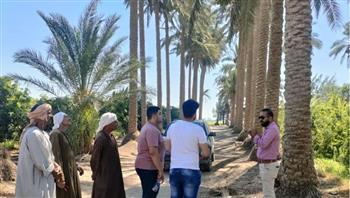"الزراعة" تنظم دورة تدريبية حول رعاية نخيل البلح