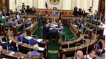برلمانية: تخصيص مليار جنيه لدعم صندوق ذوي الهمم يحل كل مشكلاتهم