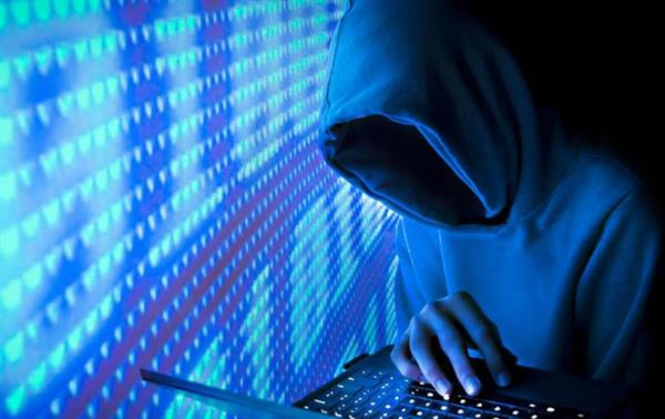 النيجر تتبنى استراتيجية لمكافحة الجرائم الإلكترونية لتعزيز التحول الرقمي