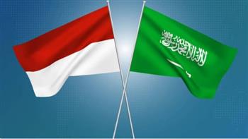   السعودية و أندونسيا تبحثان القضايا الإقليمية والدولية