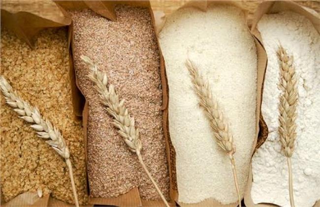 غرفة صناعة الحبوب: انخفاض أسعار الدقيق في أول أسبوع لانطلاق بورصة السلع
