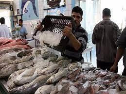 البلطي بـ44 جنيها.. أسعار الأسماك في الأسواق اليوم