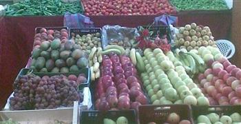   ٢٢٣.٢ مليون دولار صادرات الإسماعيلية للفاكهة والخضروات 