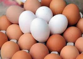   أسعار البيض اليوم 