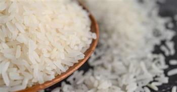 تموين الدقهلية تحرر 84 محضرًا وتضبط 267 طنًا من الأرز في حملات رقابية