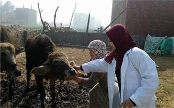 تنمية الثروة الحيوانية وحمايتها من الأمراض الوبائية بالبحيرة