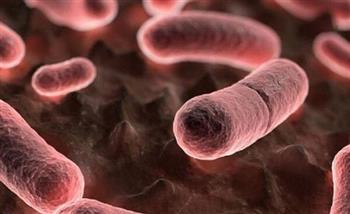   الحكومة البريطانية تحذر الآباء من البكتيريا العقدية عقب وفاة سابع حالة إصابة في البلاد