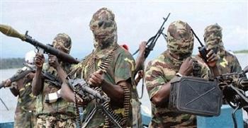   مسئولون نيجيريون: 90% من مقاتلي بوكو حرام قتلوا بالفعل