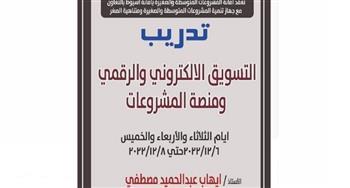 حزب مستقبل وطن بأسيوط ينظم ورشة بعنوان «مشروعك في بيتك»
