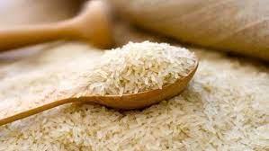   تيسيرا على المزارعين.. ضوابط جديدة لتوريد الأرز الشعير إلى التموين