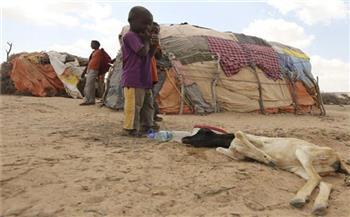 مبعوث الرئيس الصومالي يطالب الدول العربية والأمم المتحدة بسرعة التحرك لدعم بلاده في مواجهة أزمة الجفاف