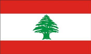 مسؤول لبناني: لا سبيل للخروج من مأزق انتخاب رئيس للجمهورية إلا بالحوار
