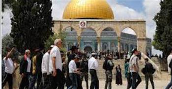   أبو ردينة: حرب إسرائيل على شعبنا تستهدف القدس والقرار الوطني المستقل