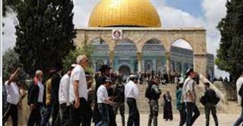 أبو ردينة: حرب إسرائيل على شعبنا تستهدف القدس والقرار الوطني المستقل