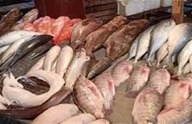  أسعار الأسماك في الأسواق اليوم  