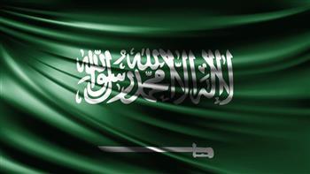 السعودية وأيرلندا تبحثان القضايا الإقليمية والدولية