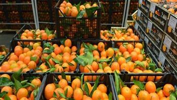   مصر تبحث أسباب تعليق السلطات الروسية شحنات من صادرات البرتقال