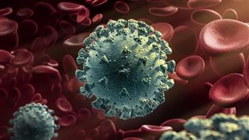   الصحة تسجل 2189 إصابة جديدة بفيروس كورونا