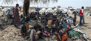   الأمم المتحدة لحقوق الإنسان في جنوب السودان تحذر من تصاعد العنف السياسي