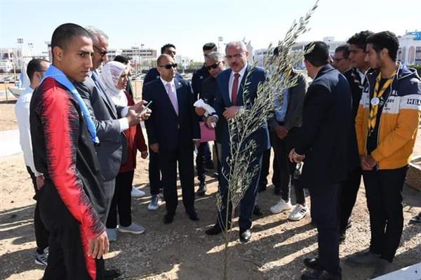 «هنجملها».. غرس ألف شجرة ضمن المبادرة الرئاسية بجامعة قناة السويس